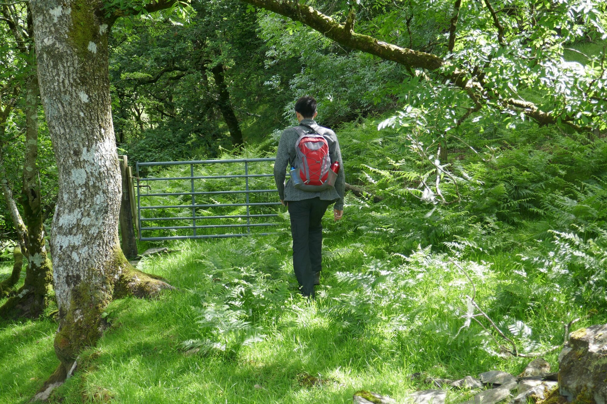 RachelSeabrook.net | Wild Walking | Cwmystwyth | pic08